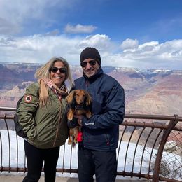Dachshund Puppies from Aster Creek Kennel