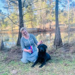 Labrador Retriever Puppies from BAK Forty Ranch