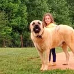 Anatolian Shepherd Dogs from Sunset Ridge Farm