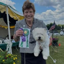 Dublin - West Highland White Terrier