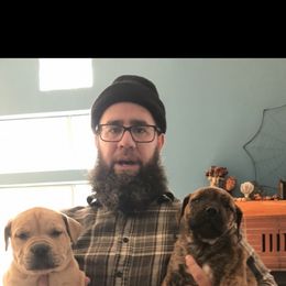Boerboel Puppies from Divine Heir Boerboel