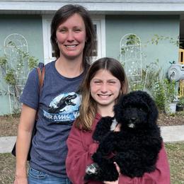 Red - Black and white female Sheepadoodle puppy in Archer, Florida from Gainesville Sheepadoodles