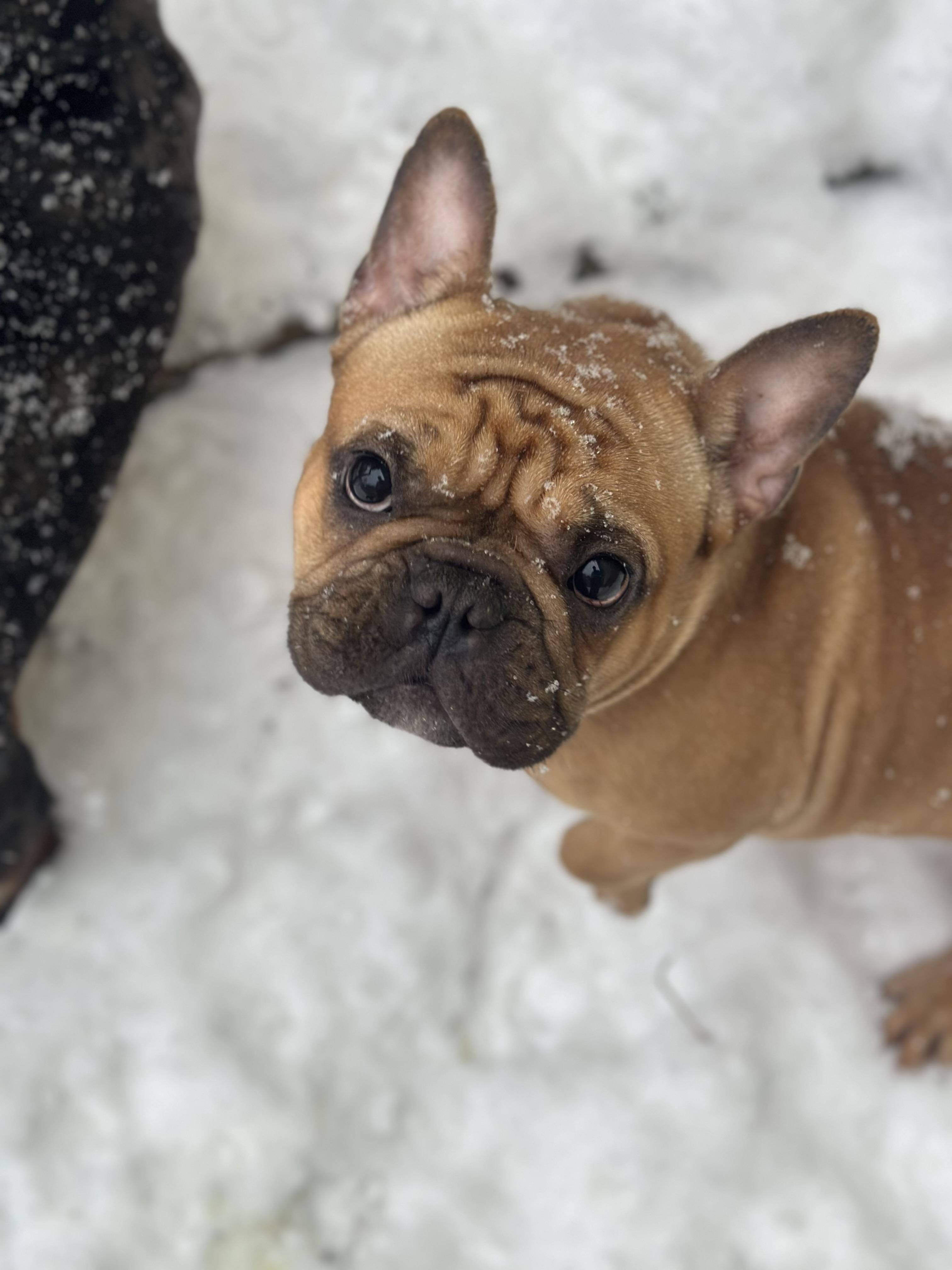 Ellie