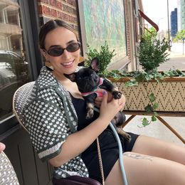 French Bulldog Puppies from Jolie Frenchies