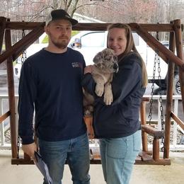 Great Dane Puppies from Broken Arrow Danes