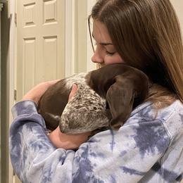 German Shorthaired Pointer Puppies from Thunder Mountain Gun Dogs