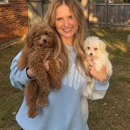 Maltese and Yorkshire Terrier Puppies from Maltese Dollhouse
