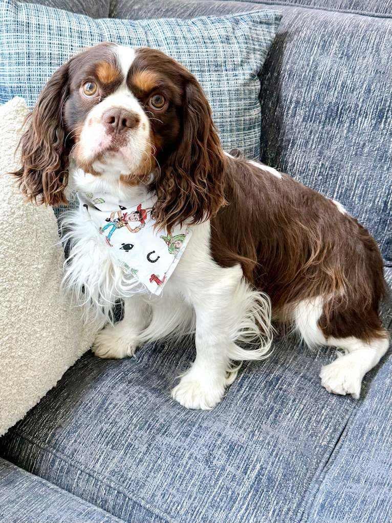 Murphy
