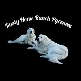 Great Pyrenees puppies from Rusty Horse Ranch Great Pyrenees