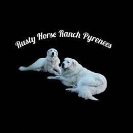 Great Pyrenees puppies from Rusty Horse Ranch Great Pyrenees