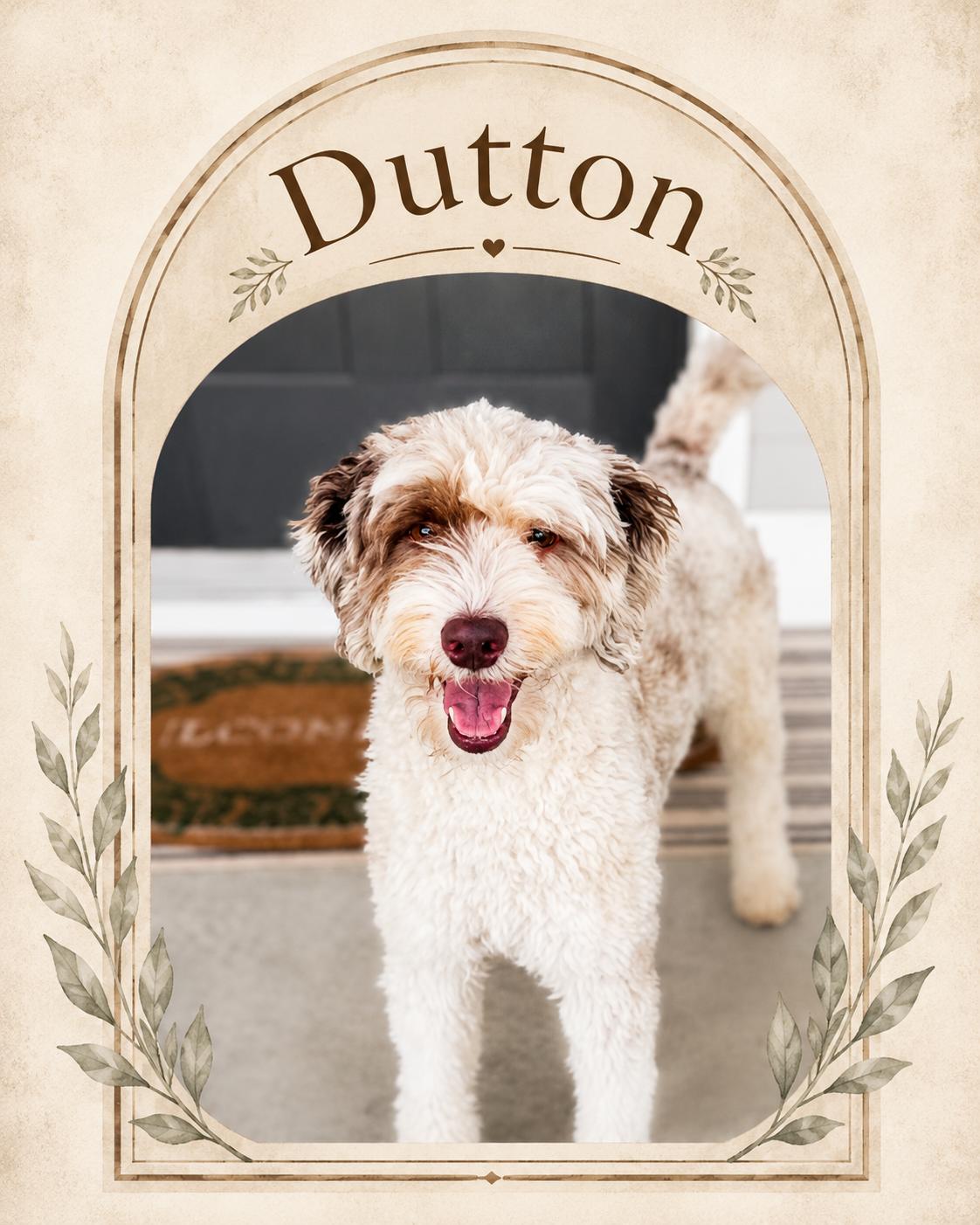 Dutton
