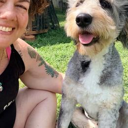 Pebbles - Bernedoodle