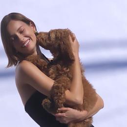 Poodle Puppies from Sunset Standard Poodles
