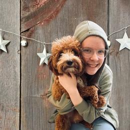 Goldendoodle Puppies from Graystone Doodles