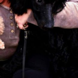 Poodles from Ry Ry's Poodles