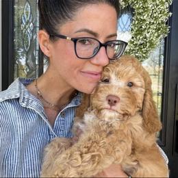 Goldendoodle and Golden Mountain Doodle Puppies from Howard Hills Doodles