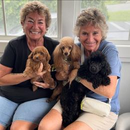 Poodle Puppies from KC Poodles of PA
