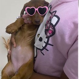 Lily - Red female Dachshund puppy in New York, New York from Sausagedog-NYC