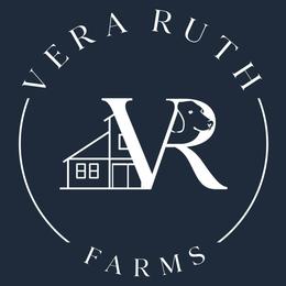 Dachshunds from Vera Ruth Farms