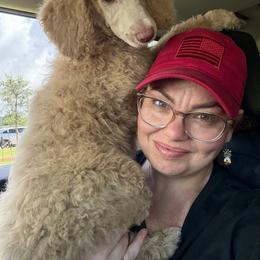 Poodle Puppies from East Bunch Poodles