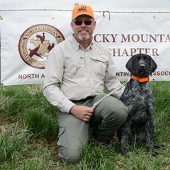 German Wirehaired Pointer All Grown Up from WyoWires German Wirehaired Pointers