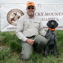 German Wirehaired Pointer All Grown Up from WyoWires German Wirehaired Pointers