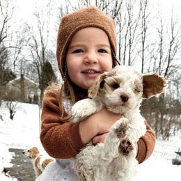 Boy 1 - Red and white male Cockapoo puppy in Birdsboro, Pennsylvania from Cooper Family Cockapoos