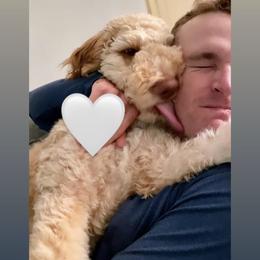 Goldendoodle Puppies from Lundee Doodles