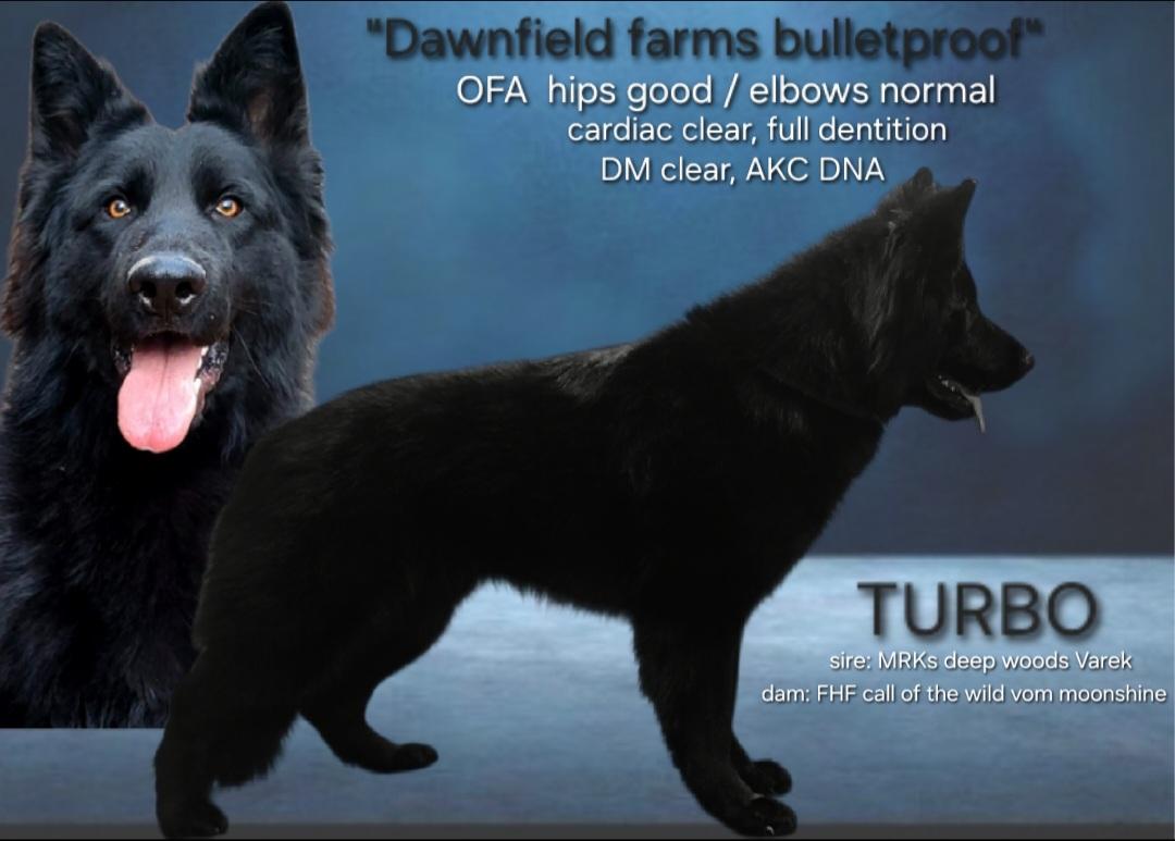 Turbo