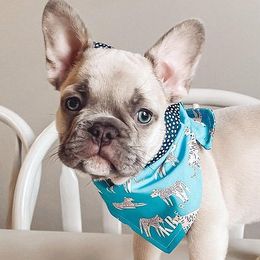 French Bulldogs from K.B frenchies