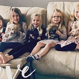 Australian Labradoodle Puppies from All About Love Australian Labradoodles