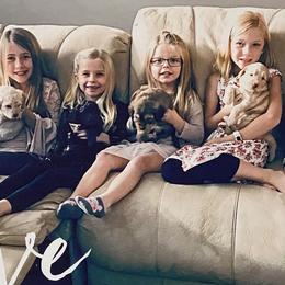 Australian Labradoodle Puppies from All About Love Australian Labradoodles