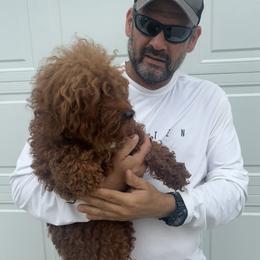 Kayla - Poodle