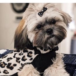 honey - Shih Tzu
