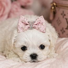 Girl 1 - female Shih Tzu puppy in Riverside, California from Be Dazzled Shihtzu