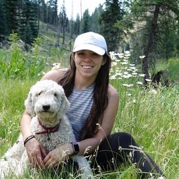 Goldendoodles and Labradoodles from Tanque Verde Doodles