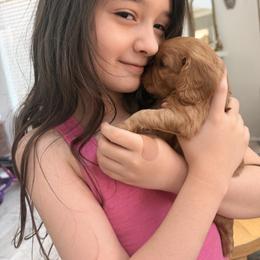 Cavalier King Charles Spaniel and Cavapoo Puppies from Unicorn Tears and Cavaliers