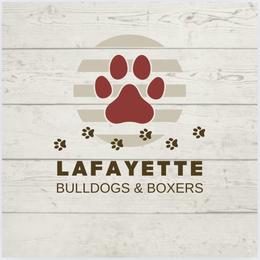Todd - Fawn male Boxer puppy in Moore, South Carolina from Lafayette Bulldogs & Boxers