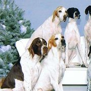 Pointers from Corwyn Pointers