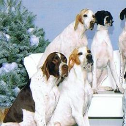 Pointers from Corwyn Pointers