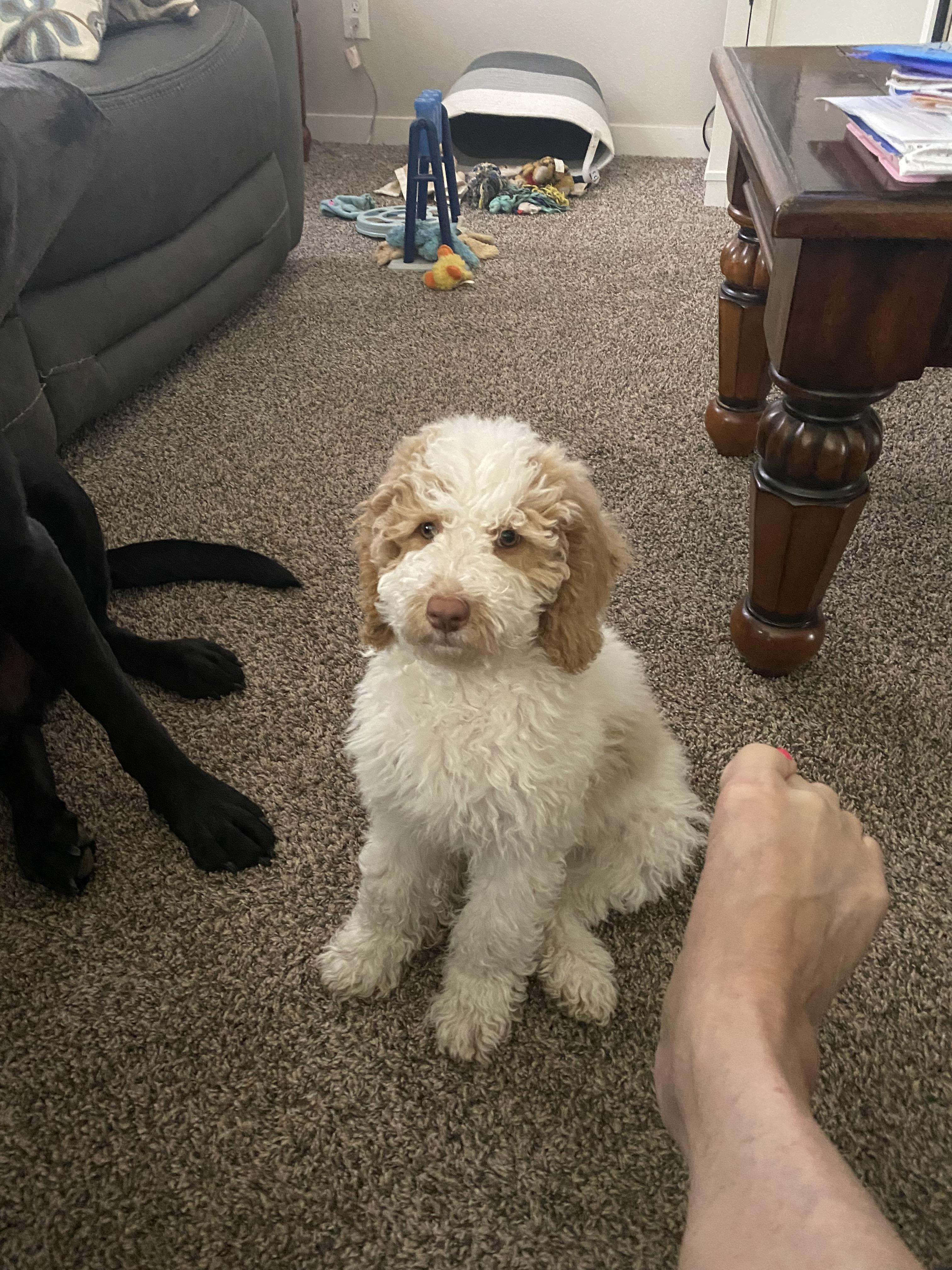 Milo