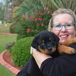 Rottweilers from DaVinci Rottweilers