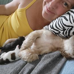 Shih Tzu Puppies from Chimera Shih Tzu