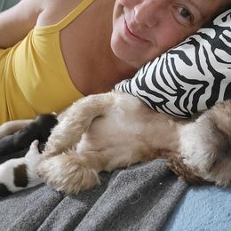 Shih Tzu Puppies from Chimera Shih Tzu