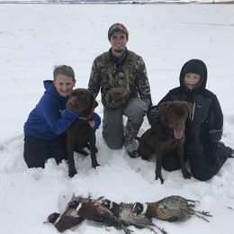 Labrador Retriever All Grown Up from Rocky Mountain Dogs - Utah