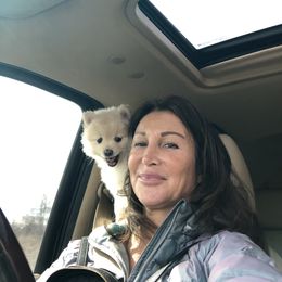 Pomeranian Puppies from Mac Daddy Poms