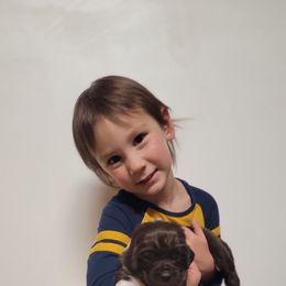 Newfoundland Puppies from Tonka Bay Newfoundlands