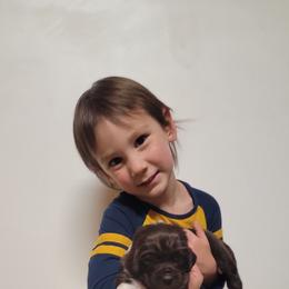 Newfoundland Puppies from Tonka Bay Newfoundlands