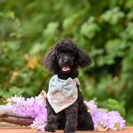 Cavapoo, Cockapoo, and Poodle Puppies from Heavenly Puppies to Love