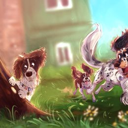 English Springer Spaniels from Wyoming Springer Spaniels